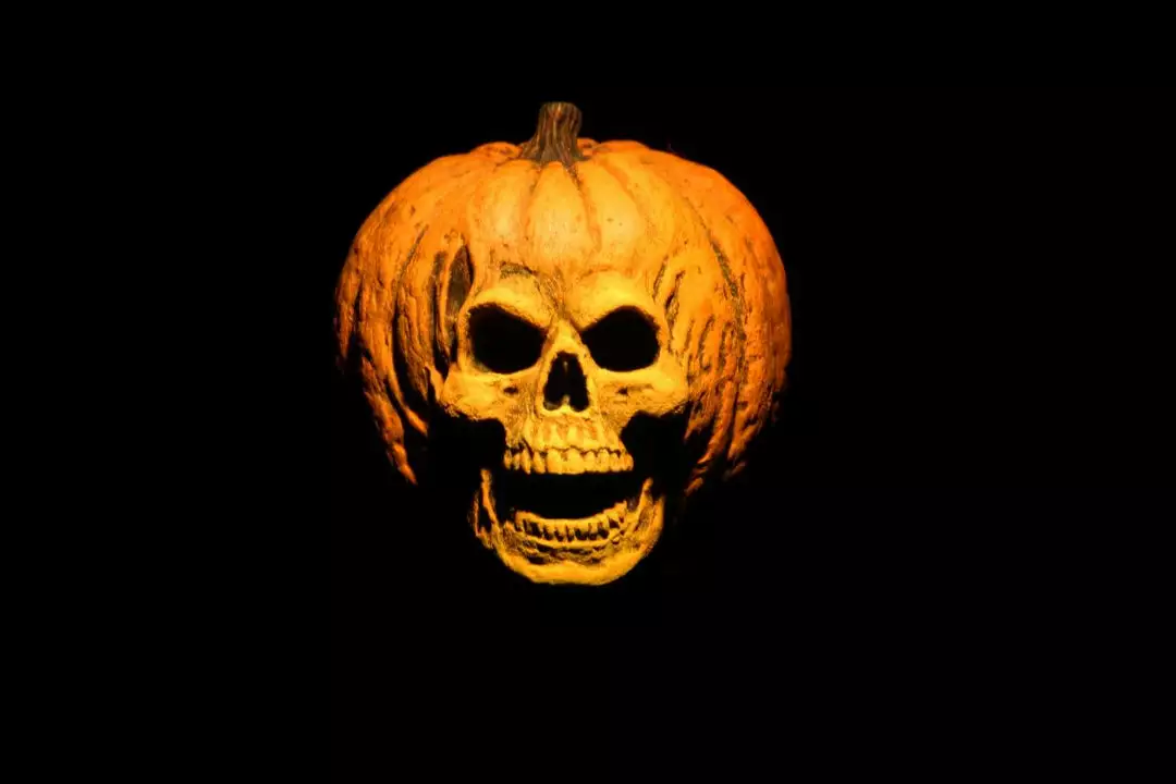 NECA Halloween 2 - Doctor Loomis & Laurie Strode 2-Pack 9 NECA Halloween 2 - Doctor Loomis & Laurie Strode 2-Pack