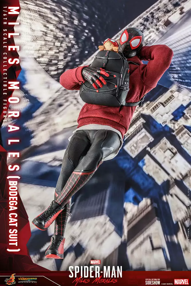 Hot Toys Miles Morales Spider-Man Bodega Cat Suit 1/6 Scale Figure Hot Toys Limited 8 Hot Toys Miles Morales Spider-Man Bodega Cat Suit 1/6 Scale Figure Hot Toys Limited